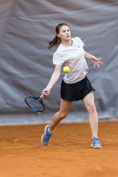 Bild 372 - HL THC von Horn und Hamm - Marienthaler THC : Ergebnis: 5:1